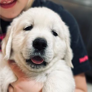 Meet your Posher, Delilah
